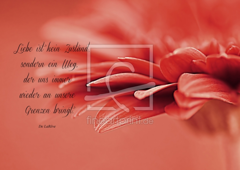 frei wählbarer Bildausschnitt für Ihr Bild auf Poster