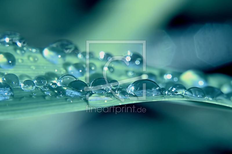 frei w&auml;hlbarer Bildausschnitt f&uuml;r Ihr Bild auf Poster