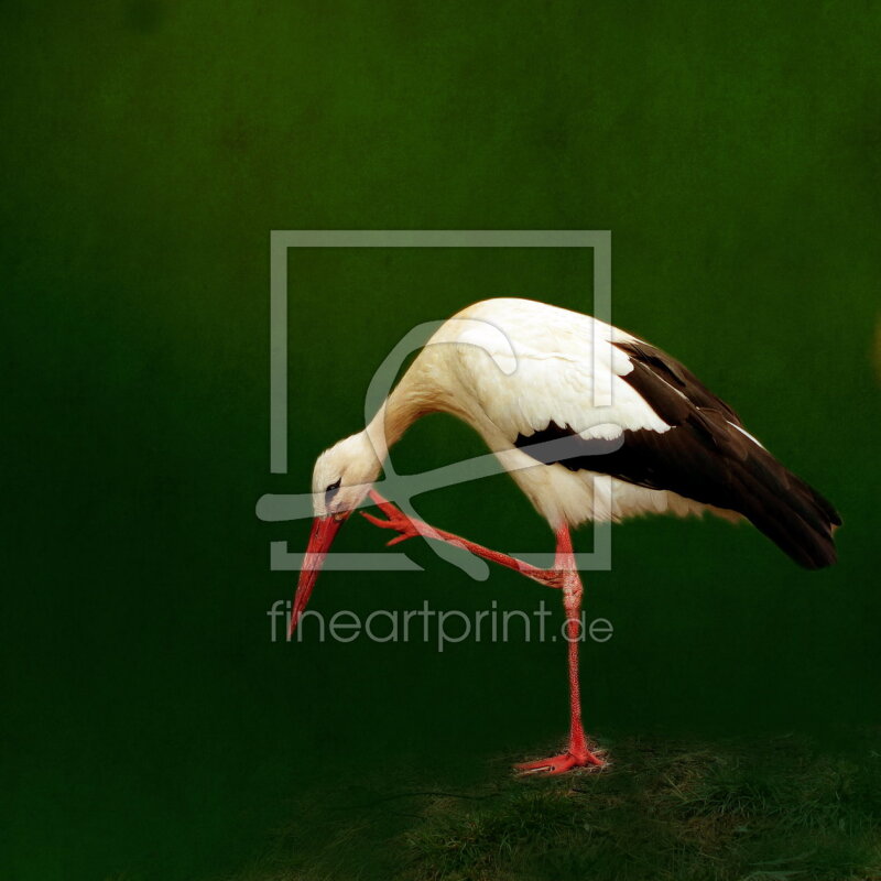 frei wählbarer Bildausschnitt für Ihr Bild auf Poster