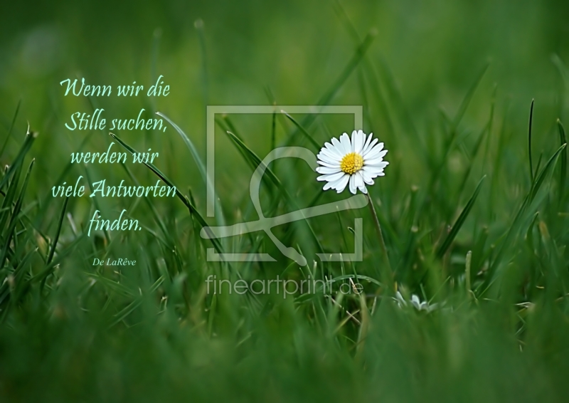 frei wählbarer Bildausschnitt für Ihr Bild auf Poster