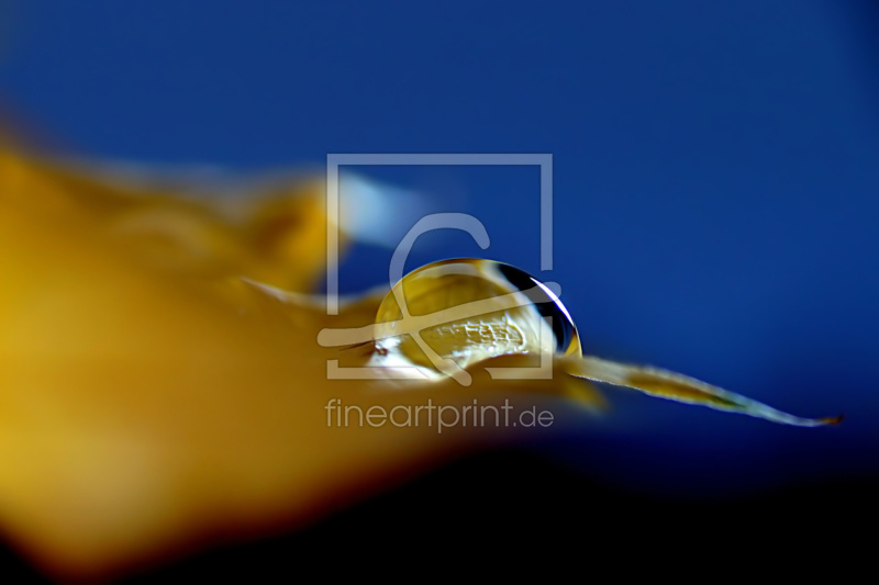 frei wählbarer Bildausschnitt für Ihr Bild auf Poster