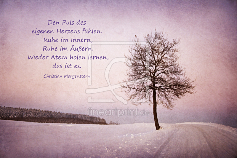 frei wählbarer Bildausschnitt für Ihr Bild auf Poster
