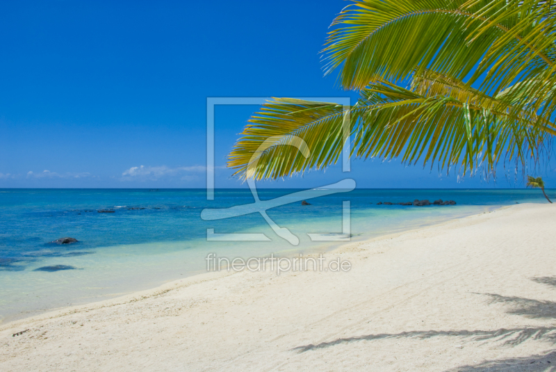 frei wählbarer Bildausschnitt für Ihr Bild auf Poster