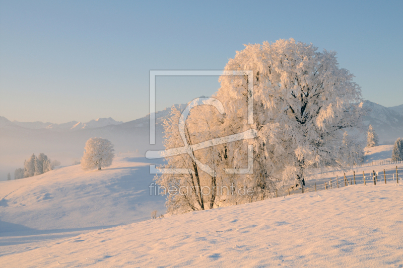 frei w&auml;hlbarer Bildausschnitt f&uuml;r Ihr Bild auf Poster