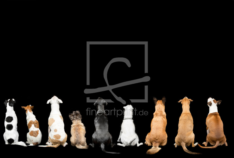 frei w&auml;hlbarer Bildausschnitt f&uuml;r Ihr Bild auf Poster