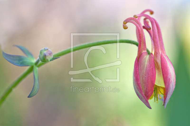 frei wählbarer Bildausschnitt für Ihr Bild auf Poster