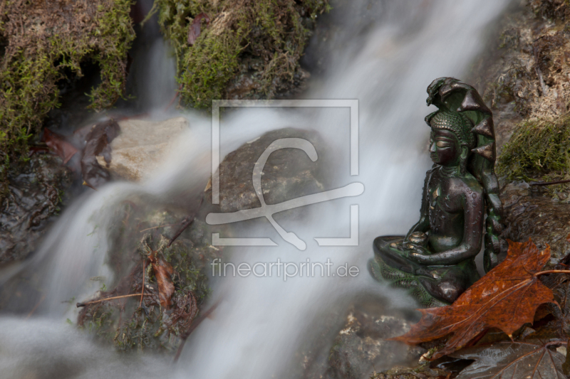 frei w&auml;hlbarer Bildausschnitt f&uuml;r Ihr Bild auf Poster