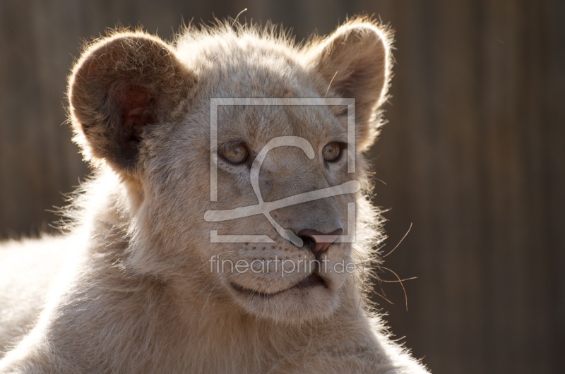 frei w&auml;hlbarer Bildausschnitt f&uuml;r Ihr Bild auf Poster