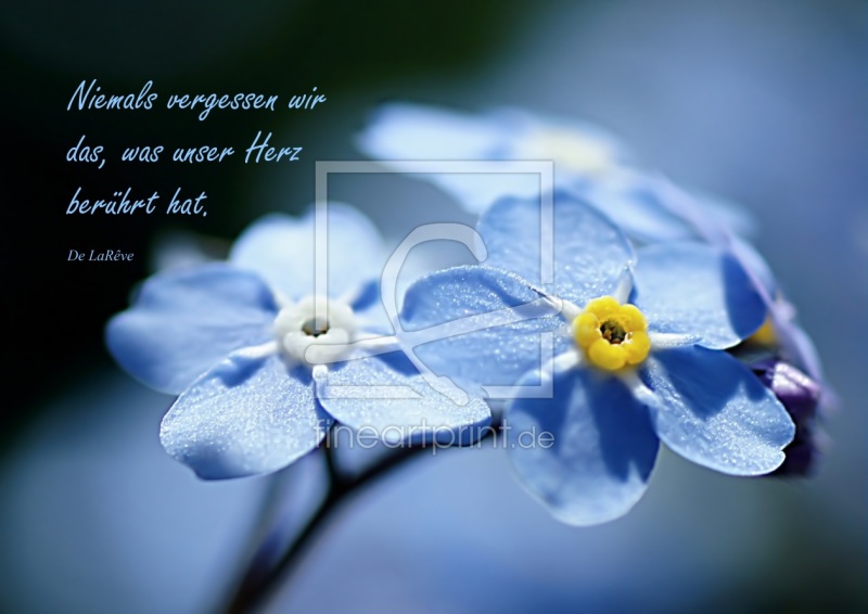 frei w&auml;hlbarer Bildausschnitt f&uuml;r Ihr Bild auf Poster