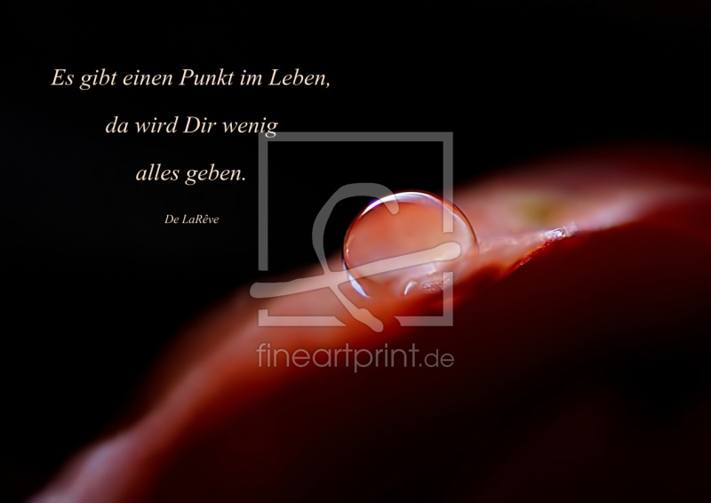 frei wählbarer Bildausschnitt für Ihr Bild auf Poster