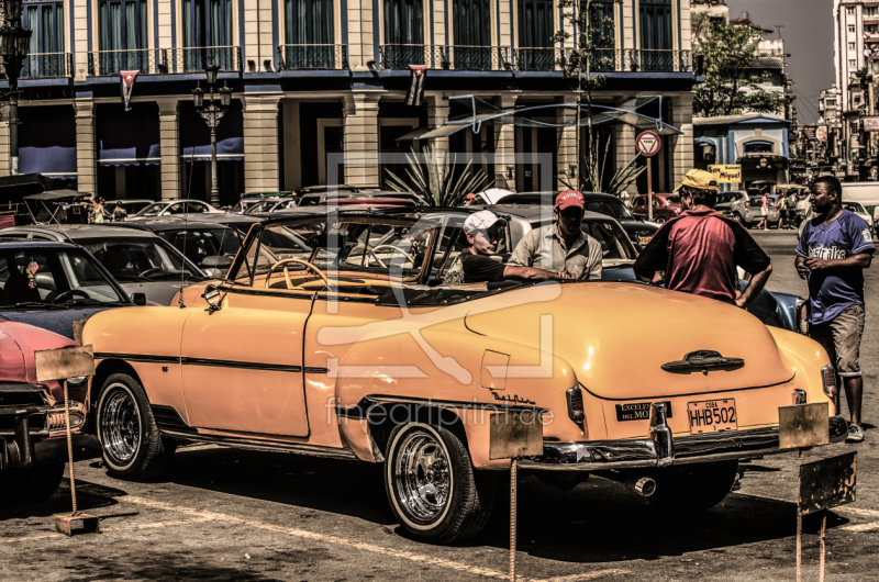 frei wählbarer Bildausschnitt für Ihr Bild auf Poster