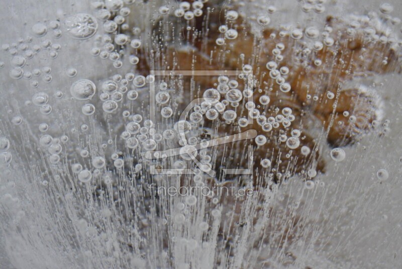 frei w&auml;hlbarer Bildausschnitt f&uuml;r Ihr Bild auf Poster