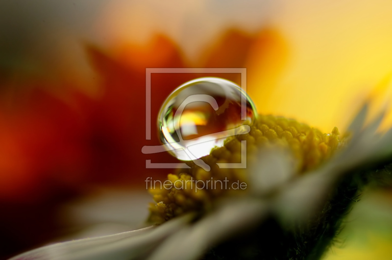 frei w&auml;hlbarer Bildausschnitt f&uuml;r Ihr Bild auf Poster