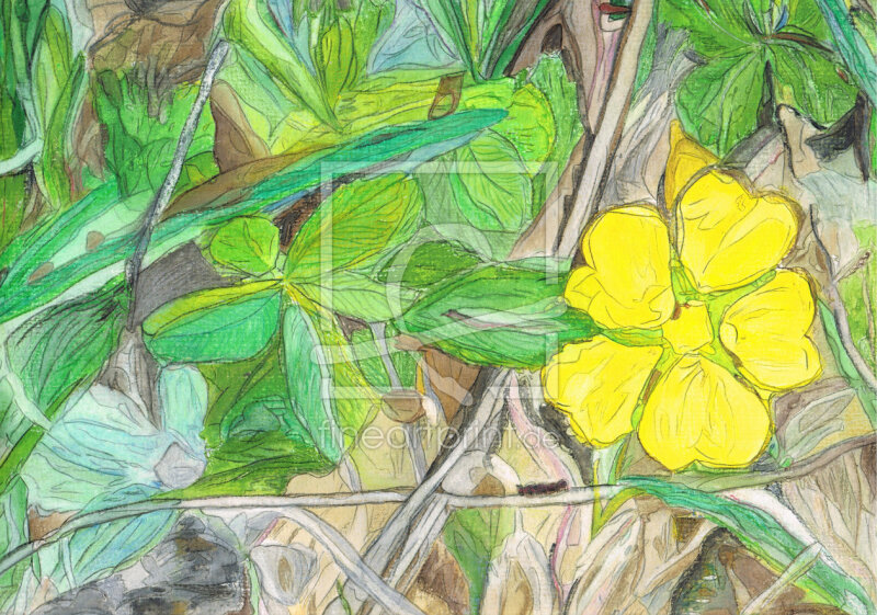 frei w&auml;hlbarer Bildausschnitt f&uuml;r Ihr Bild auf Poster