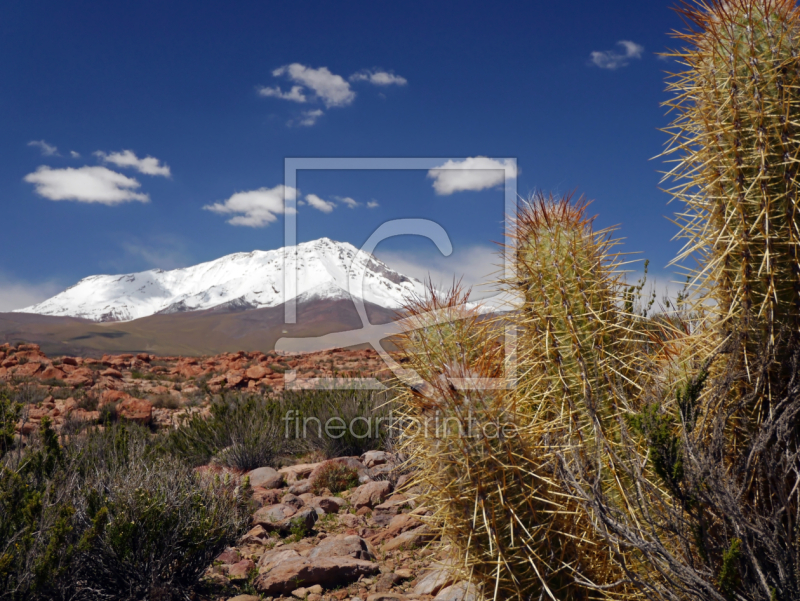 frei wählbarer Bildausschnitt für Ihr Bild auf Poster