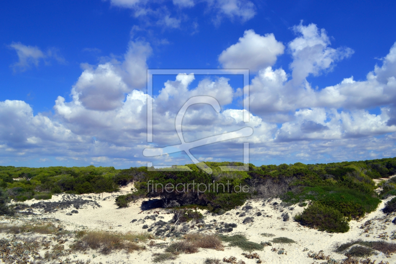 frei wählbarer Bildausschnitt für Ihr Bild auf Poster