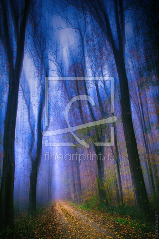 frei wählbarer Bildausschnitt für Ihr Bild auf Poster