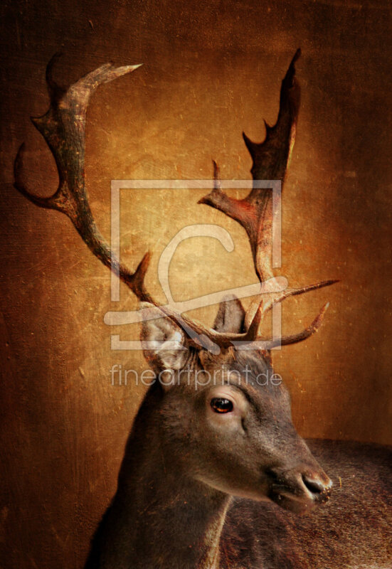 frei w&auml;hlbarer Bildausschnitt f&uuml;r Ihr Bild auf Poster