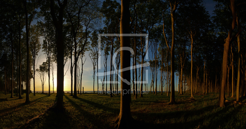 frei wählbarer Bildausschnitt für Ihr Bild auf Poster