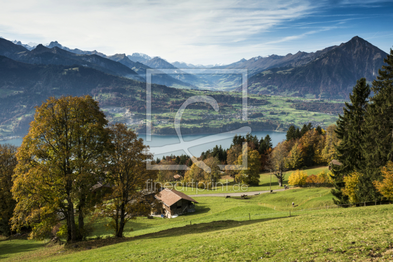 frei wählbarer Bildausschnitt für Ihr Bild auf Poster