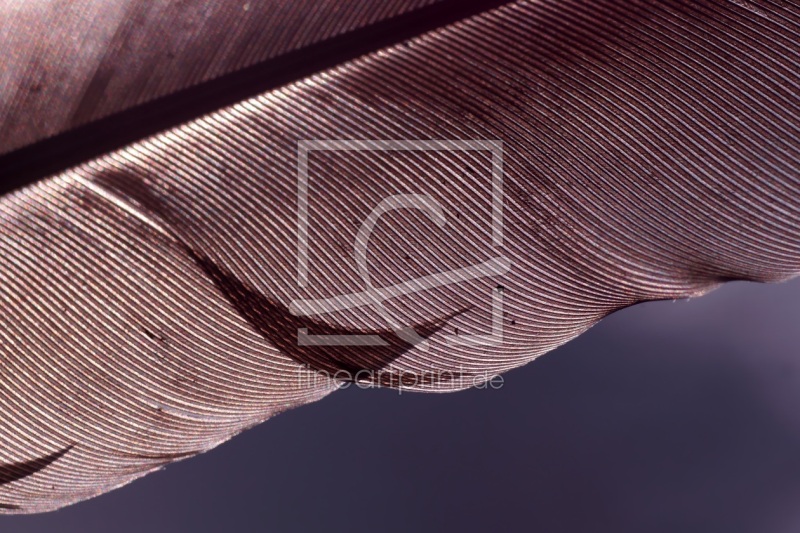 frei wählbarer Bildausschnitt für Ihr Bild auf Poster