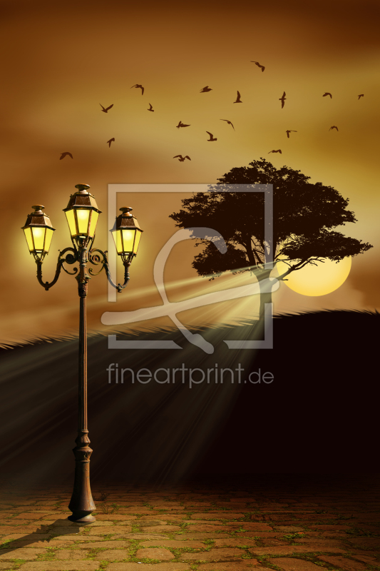 frei wählbarer Bildausschnitt für Ihr Bild auf Poster