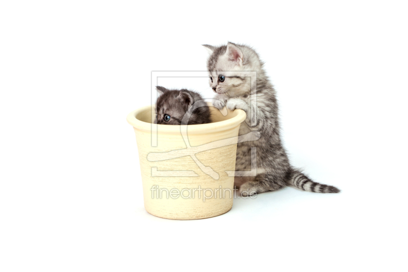 frei w&auml;hlbarer Bildausschnitt f&uuml;r Ihr Bild auf Poster