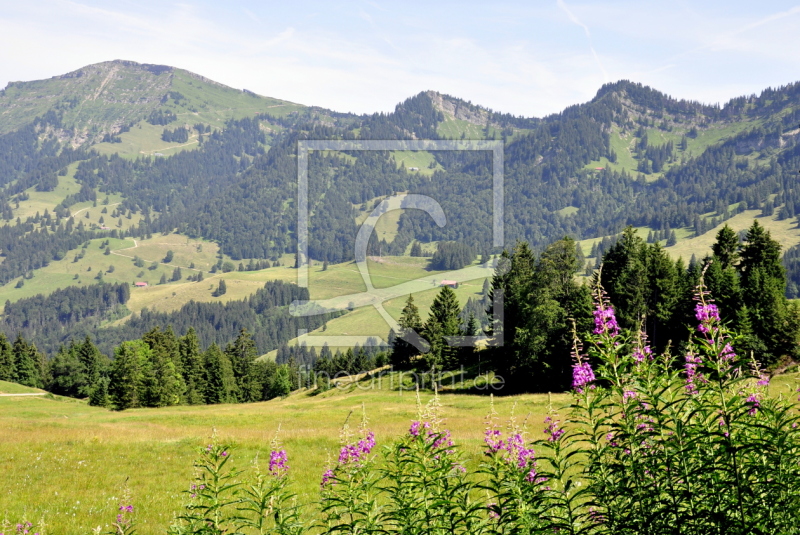 frei wählbarer Bildausschnitt für Ihr Bild auf Poster