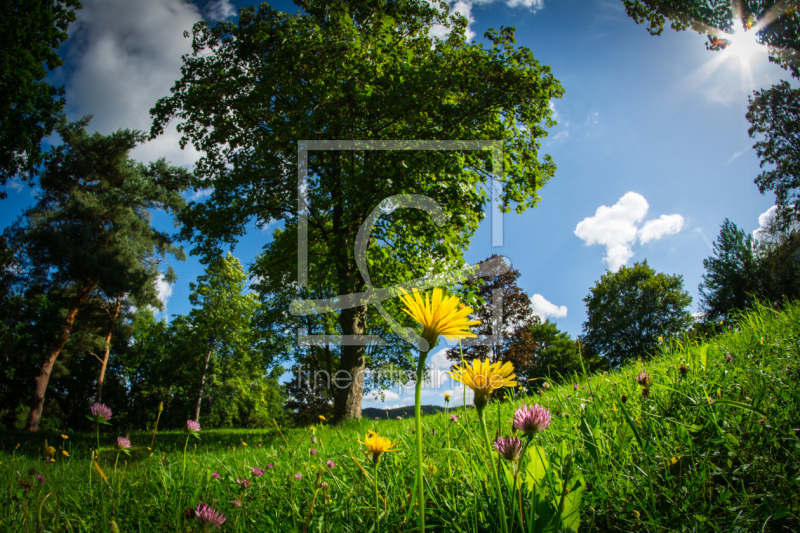 frei w&auml;hlbarer Bildausschnitt f&uuml;r Ihr Bild auf Poster