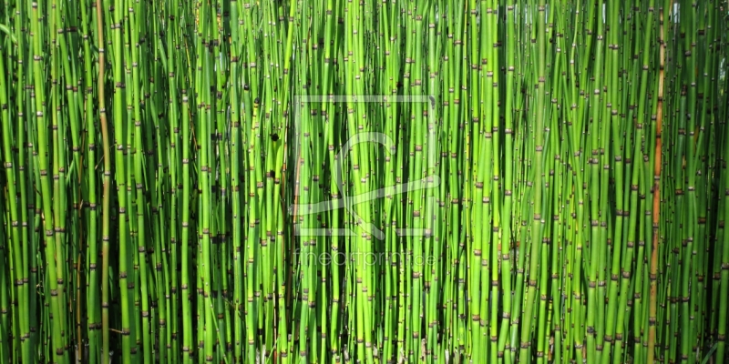 frei w&auml;hlbarer Bildausschnitt f&uuml;r Ihr Bild auf Poster