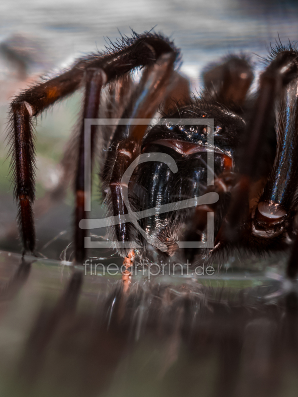 frei w&auml;hlbarer Bildausschnitt f&uuml;r Ihr Bild auf Poster