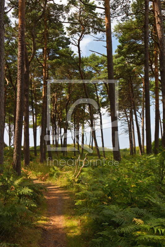 frei w&auml;hlbarer Bildausschnitt f&uuml;r Ihr Bild auf Poster