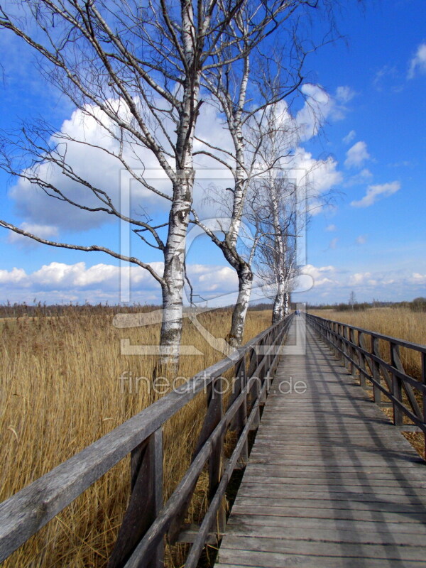 frei w&auml;hlbarer Bildausschnitt f&uuml;r Ihr Bild auf Poster