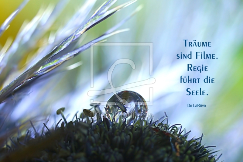 frei wählbarer Bildausschnitt für Ihr Bild auf Poster