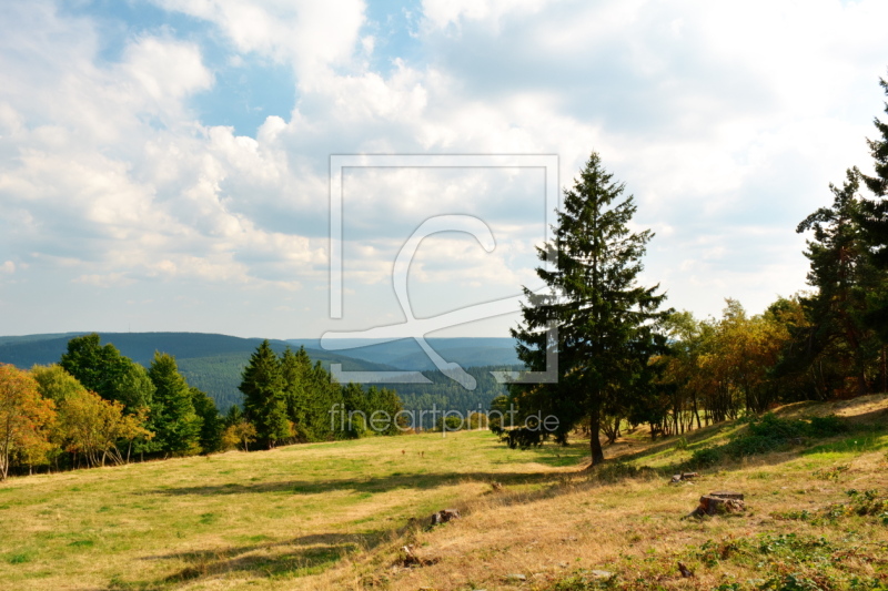 frei wählbarer Bildausschnitt für Ihr Bild auf Poster