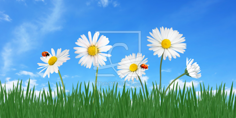 frei w&auml;hlbarer Bildausschnitt f&uuml;r Ihr Bild auf Poster