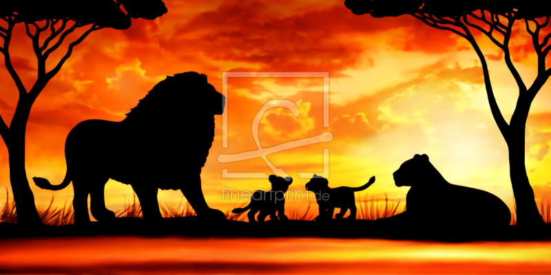 Löwen Löwe Löwenfamilie Afrika als Poster drucken la..., حجم الصورة 800x400