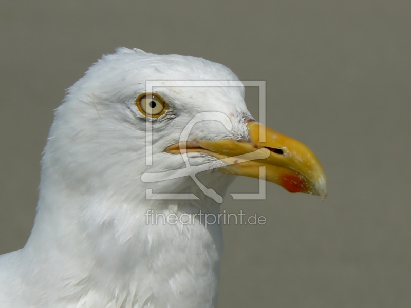 frei w&auml;hlbarer Bildausschnitt f&uuml;r Ihr Bild auf Poster