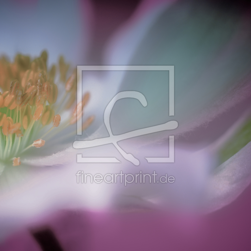 frei w&auml;hlbarer Bildausschnitt f&uuml;r Ihr Bild auf Poster