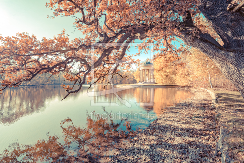 frei wählbarer Bildausschnitt für Ihr Bild auf Poster