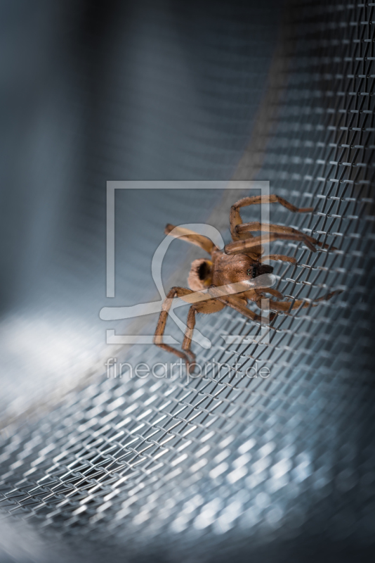 frei wählbarer Bildausschnitt für Ihr Bild auf Poster