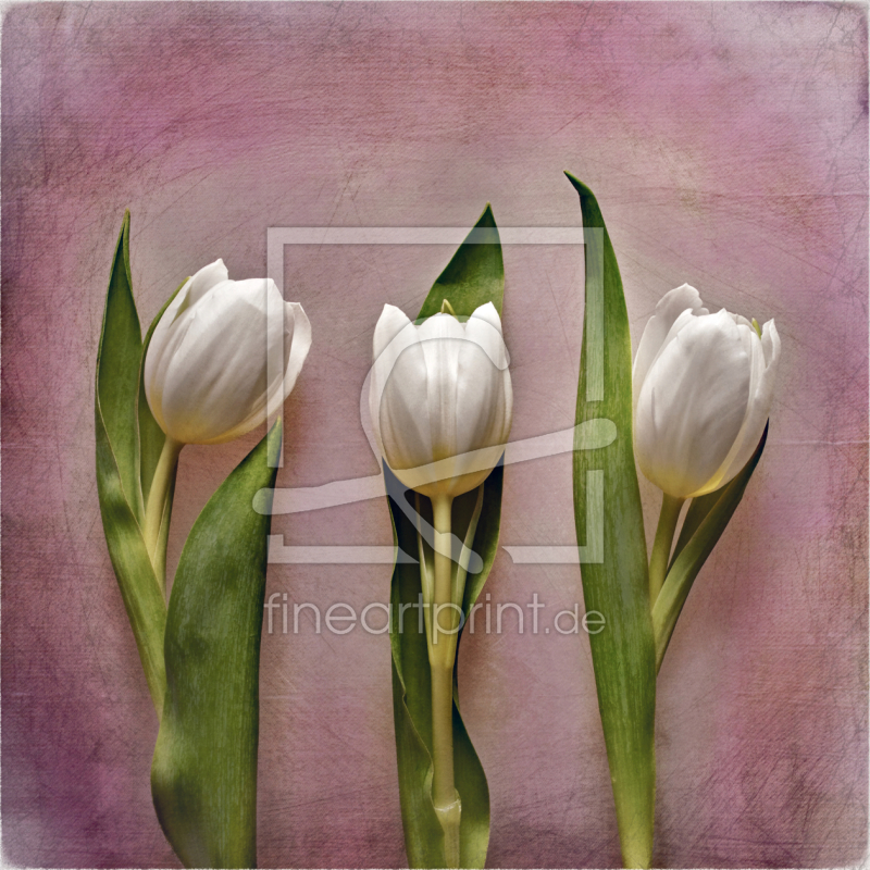 frei w&auml;hlbarer Bildausschnitt f&uuml;r Ihr Bild auf Poster