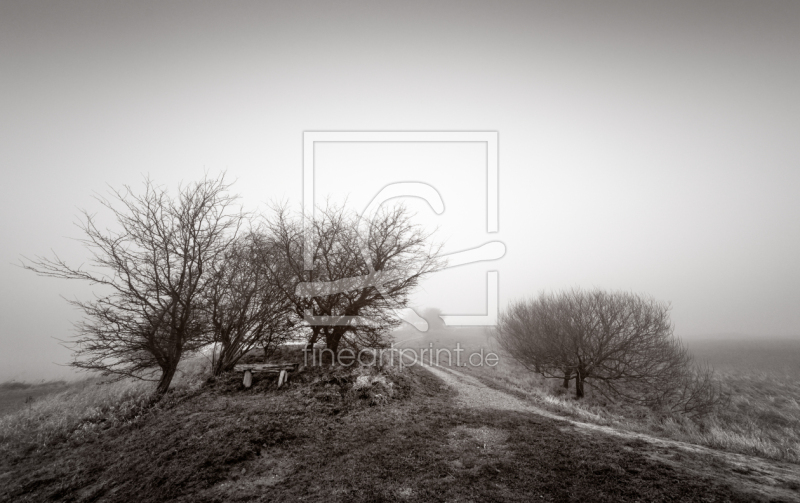 frei w&auml;hlbarer Bildausschnitt f&uuml;r Ihr Bild auf Poster