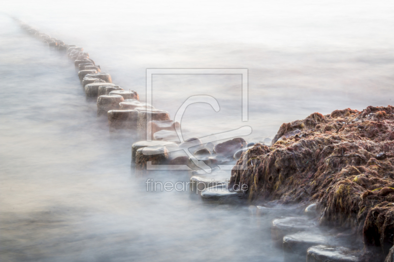 frei wählbarer Bildausschnitt für Ihr Bild auf Poster