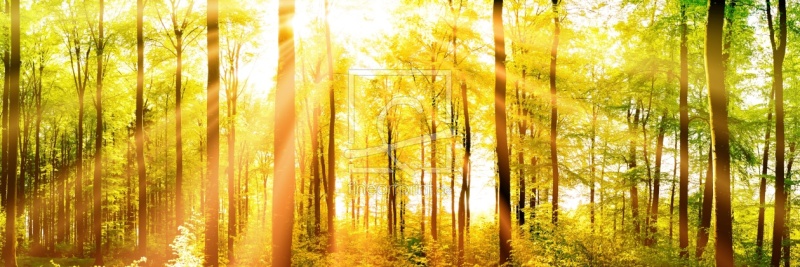 frei wählbarer Bildausschnitt für Ihr Bild auf Poster