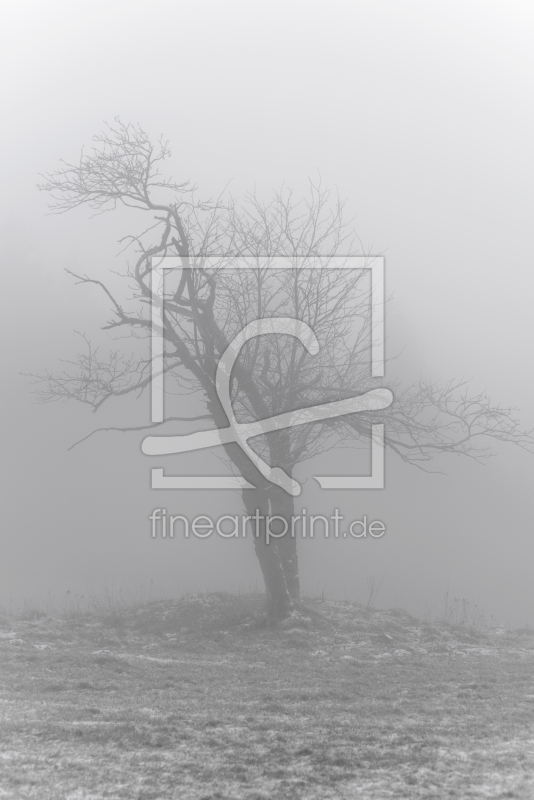 frei w&auml;hlbarer Bildausschnitt f&uuml;r Ihr Bild auf Poster