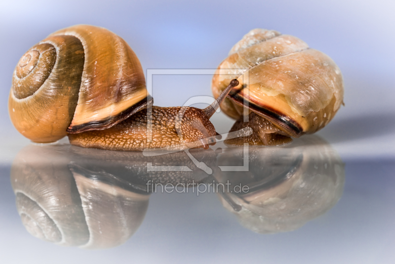 frei wählbarer Bildausschnitt für Ihr Bild auf Poster