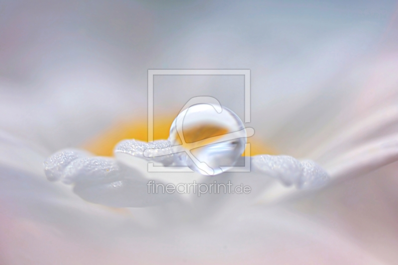 frei w&auml;hlbarer Bildausschnitt f&uuml;r Ihr Bild auf Poster