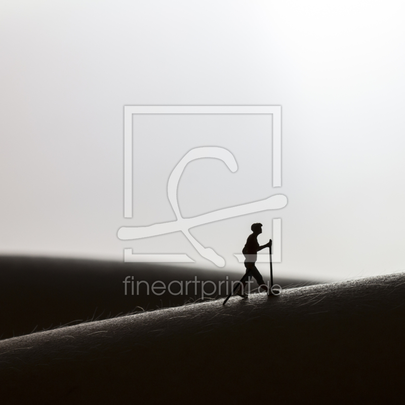 frei w&auml;hlbarer Bildausschnitt f&uuml;r Ihr Bild auf Poster