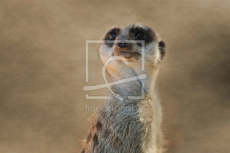 frei wählbarer Bildausschnitt für Ihr Bild auf Poster